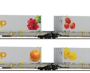6600323 Roco 2er Set Doppeltaschenwagen T2000 + Coop #2