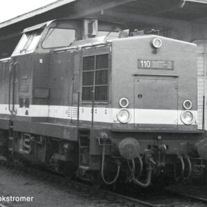 7320107 Roco Diesellok BR 110 DR AC-Snd.