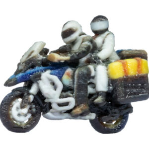 10900 Noch Tourenmotorrad mit Sozia, fahrend 3D-Master
