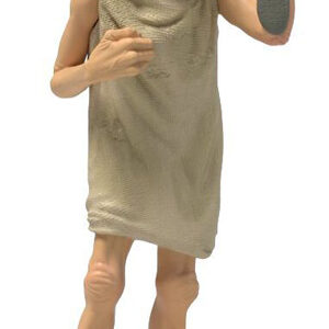 14940 Schleich Dobby met sok